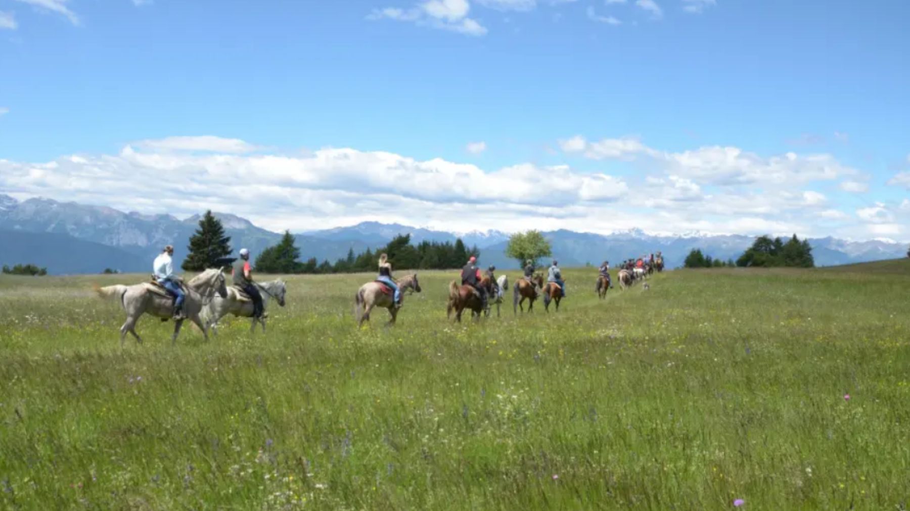 escursioni a cavallo in val di non